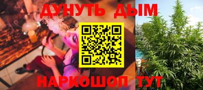 Альфа ПВП Будённовск
