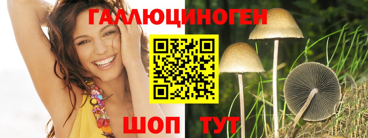 Псилоцибиновые грибы ЛСД  как найти   Родники  Вход с VPN 